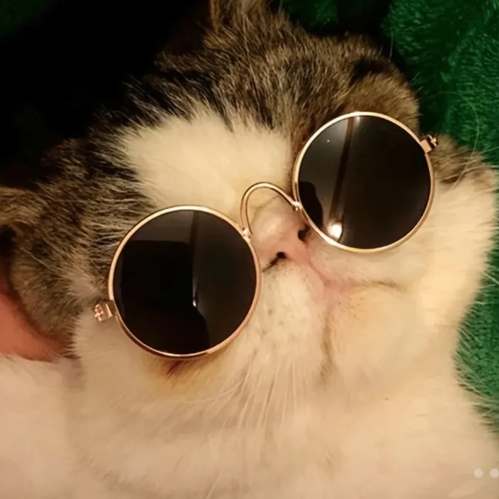 [FREE WP] Pet Sunglasses